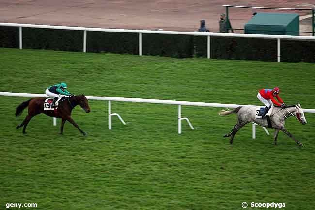 28/11/2008 - Saint-Cloud - Prix de Palaiseau : Result