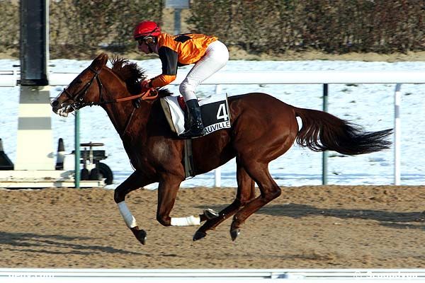 21/12/2010 - Deauville - Prix de La Hardière : Arrivée