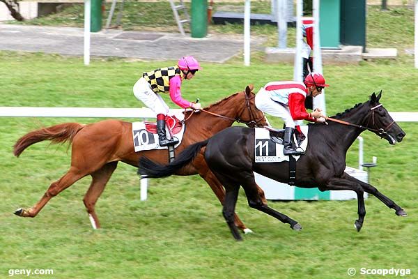 27/05/2011 - Saint-Cloud - Prix Sicarelle : Arrivée