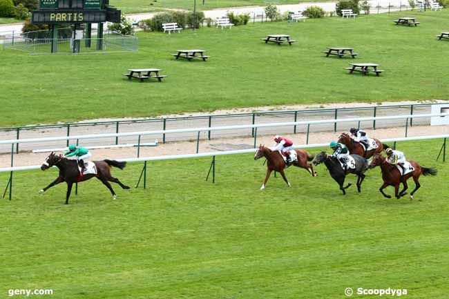 29/05/2013 - ParisLongchamp - Prix de Viroflay : Arrivée