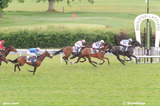 11/06/2013 - Maisons-Laffitte - Prix du Rond de Sevigné : Arrivée