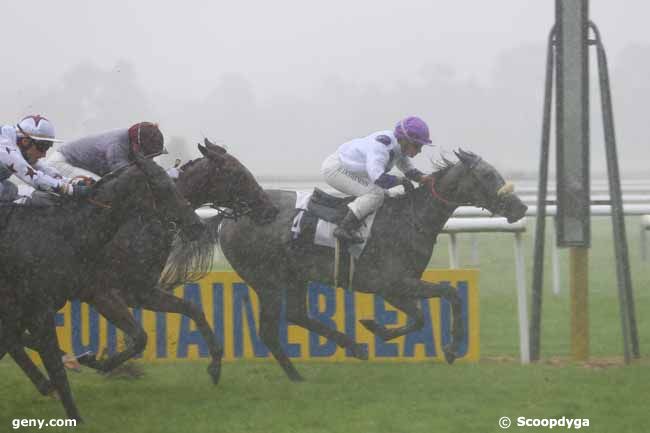 16/09/2015 - Fontainebleau - Prix du Pont de Valvins : Result