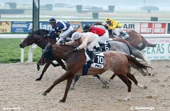 25/01/2019 - Pau - Prix de Livron : Arrivée