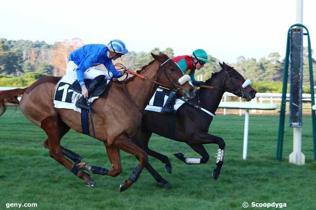 04/12/2019 - Fontainebleau - Prix Hôtel de l'Aigle Noir : Arrivée