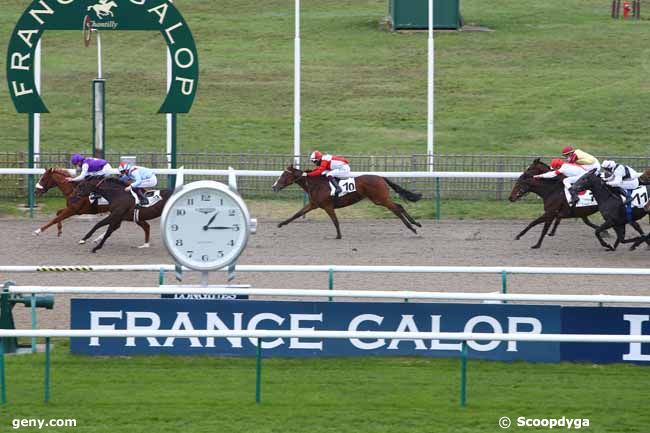 06/11/2020 - Chantilly - Prix de la Seigneurerie : Arrivée