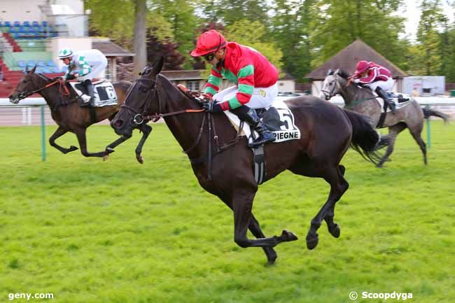 17/05/2021 - Compiègne - Prix du Grand Maître : Arrivée