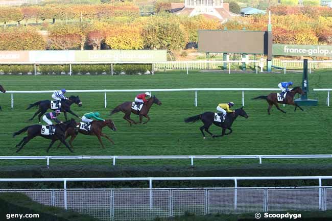 10/11/2021 - Saint-Cloud - Prix de Saint-Martin-du-Chêne : Arrivée