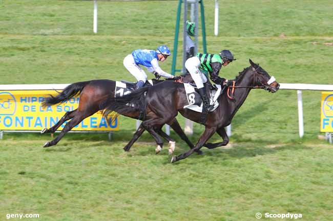 28/03/2022 - Fontainebleau - Prix de Château Landon : Arrivée