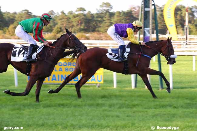 12/09/2022 - Fontainebleau - Prix des Cerfs : Ankunft