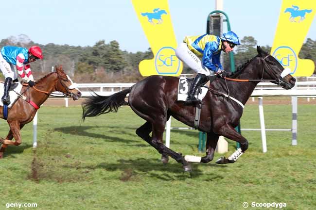 21/02/2023 - Fontainebleau - Prix Général Marion : Arrivée