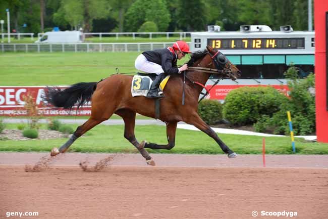 02/05/2024 - Enghien - Prix de Maubeuge : Arrivée