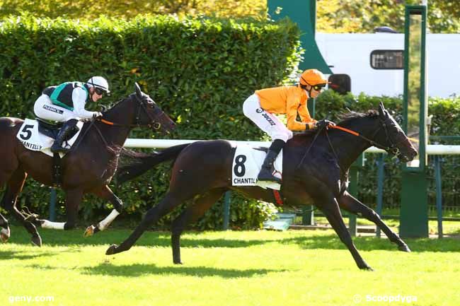 01/10/2024 - Chantilly - Prix de Rully : Ankunft