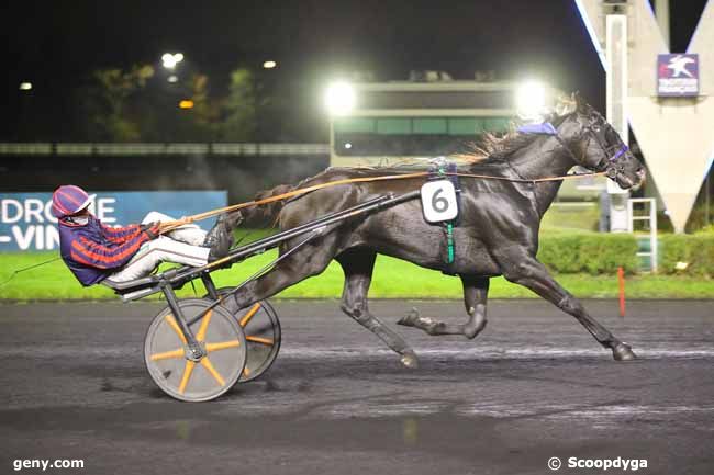 08/11/2024 - Vincennes - Prix Walpurga : Arrivée