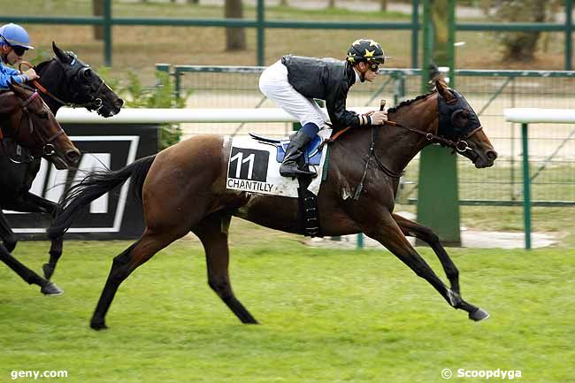 30/09/2009 - Chantilly - Prix Calahorra : Arrivée