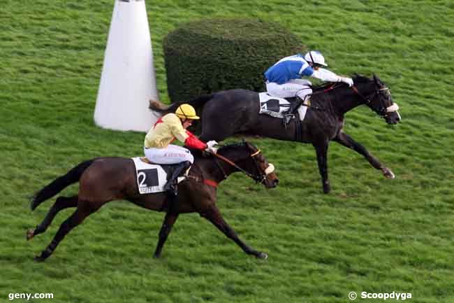 22/11/2009 - Auteuil - Prix Daniel Merle : Result