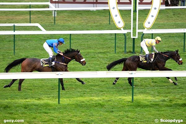 19/11/2010 - Compiègne - Prix du Champ de Mars : Ankunft