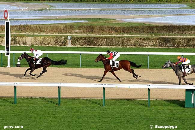 25/12/2012 - Deauville - Prix de Mondeville : Ankunft