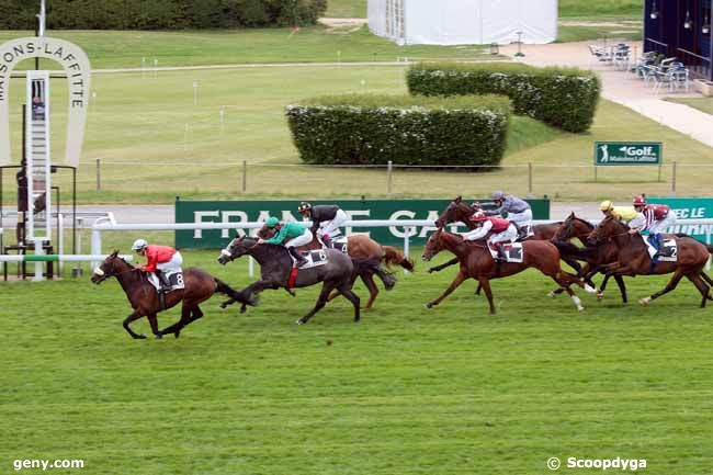 18/05/2013 - Maisons-Laffitte - Prix Margouillat (Prix de l'Association des Entrepreneurs de Maisons-Laffitte) : Arrivée