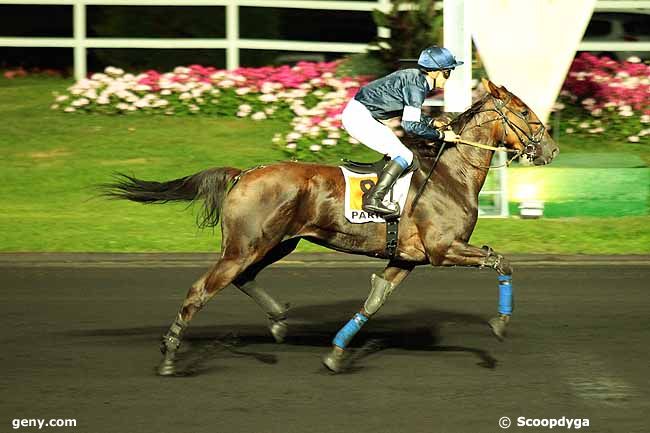 16/09/2014 - Vincennes - Prix Androméda : Arrivée