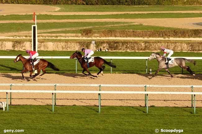 08/01/2016 - Deauville - Prix de la Rivière Saint-Sauveur : Ankunft