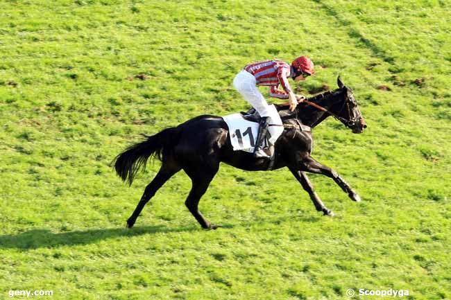 06/11/2016 - Auteuil - Prix Cambacérès - Grande Course de Haies des 3 ans : Result