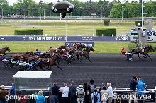 14/05/2025 - Vincennes - Prix du Perreux : Arrivée