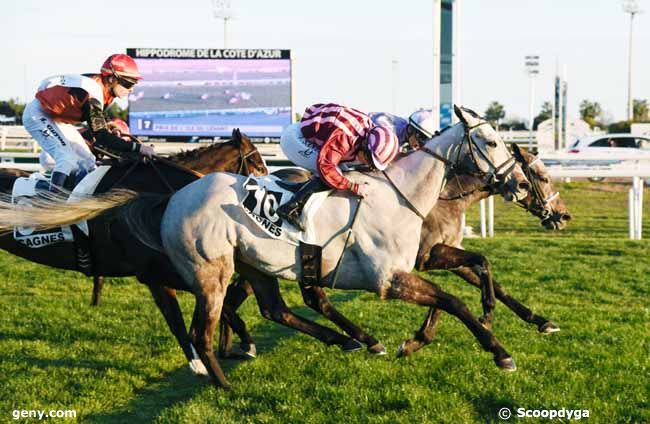 21/01/2019 - Cagnes-sur-Mer - Prix de l'Ile du Levant : Arrivée