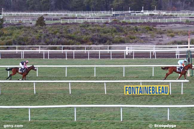 04/03/2019 - Fontainebleau - Prix Baroud III : Arrivée