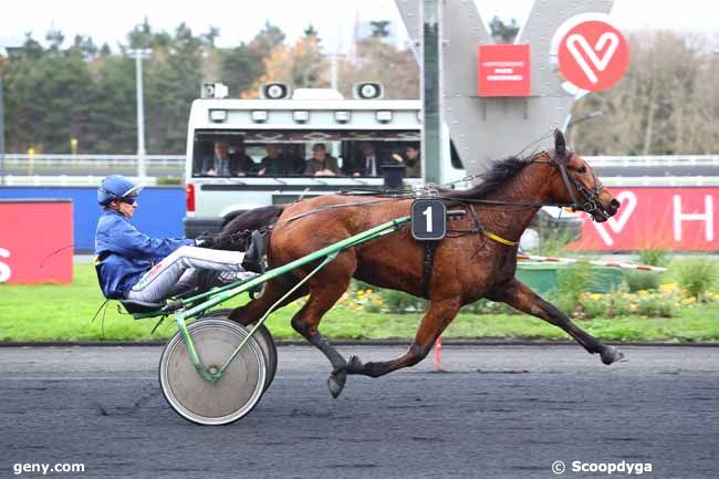 28/11/2019 - Vincennes - Prix des Azalées : Arrivée