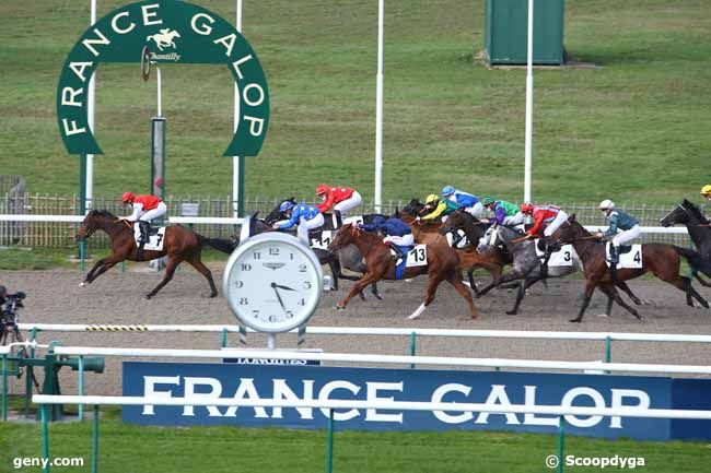 06/11/2020 - Chantilly - Prix du Cabinet des Gemmes : Ankunft