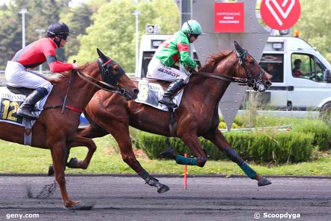 10/05/2022 - Vincennes - Prix Niobé : Arrivée