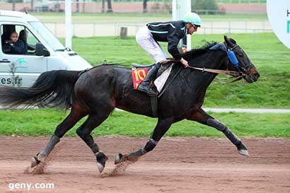 06/11/2024 - Nantes - Prix du Salon du Cheval d'Angers : Arrivée