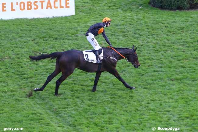 17/11/2024 - Auteuil - Prix la Haye Jousselin : Arrivée