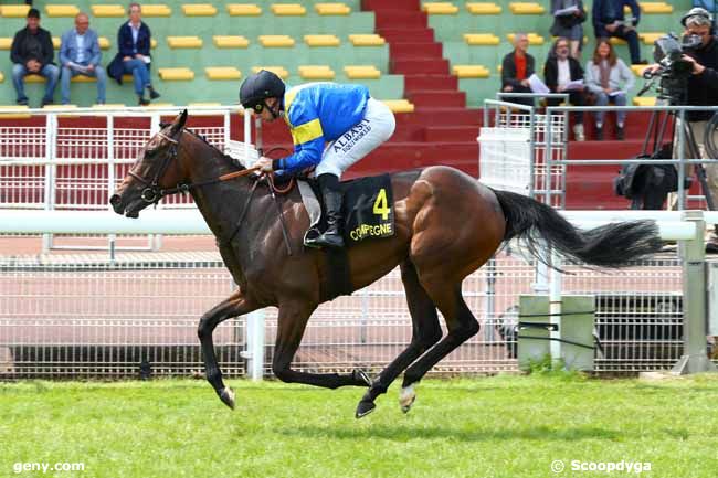 06/06/2025 - Compiègne - Prix de Caisnes : Arriv&eacute;e