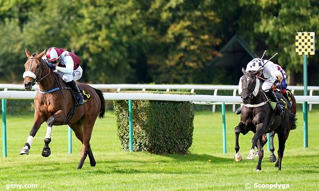 02/10/2025 - Compiègne - Prix de Beaune : Arrivée