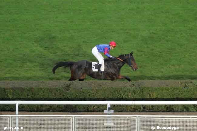 05/11/2008 - Saint-Cloud - Prix Sagaro : Arrivée