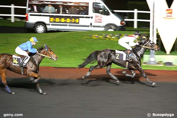 11/11/2008 - Vincennes - Prix Psyché : Arrivée