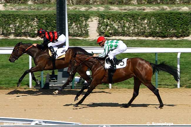 19/08/2009 - Deauville - Prix de Falaise : Result