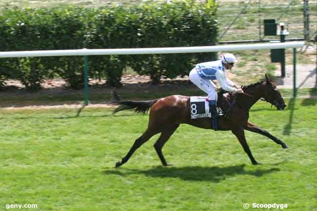 15/07/2011 - Chantilly - Prix de la Verrerie : Arrivée
