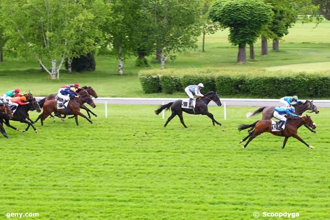 22/05/2013 - Maisons-Laffitte - Prix de Tarnos : Arrivée