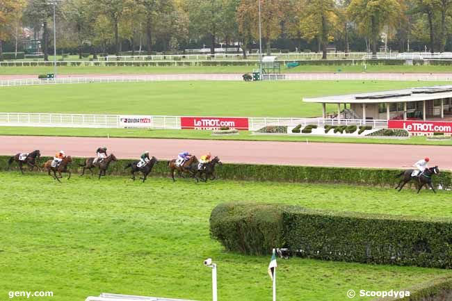 20/11/2013 - Enghien - Prix d'Abbeville : Arrivée