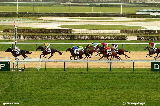 27/12/2013 - Deauville - Prix de la Rivière Saint-Sauveur : Ankunft