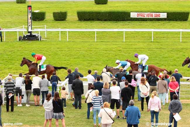 19/08/2016 - Clairefontaine-Deauville - Prix d'Auberville - Etalon le Havre : Arrivée