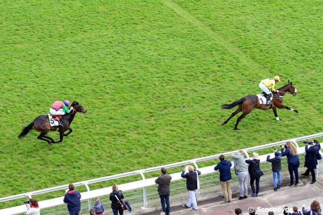 29/04/2017 - Auteuil - Prix Wild Monarch : Ankunft