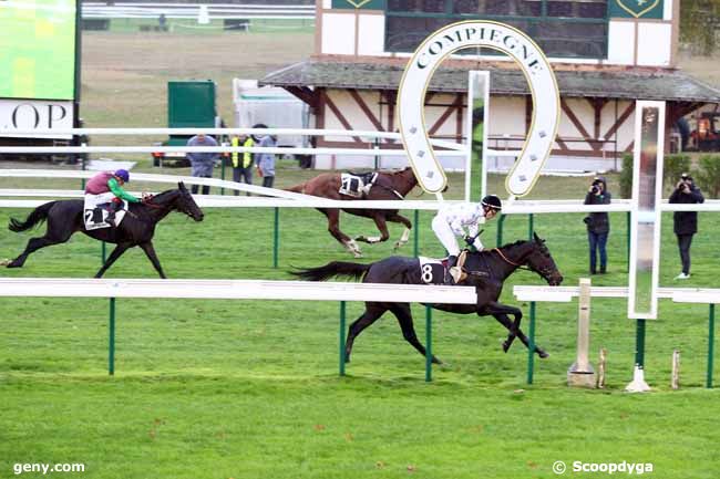 01/11/2018 - Compiègne - Grand Steeple-Chase de Compiègne : Arrivée