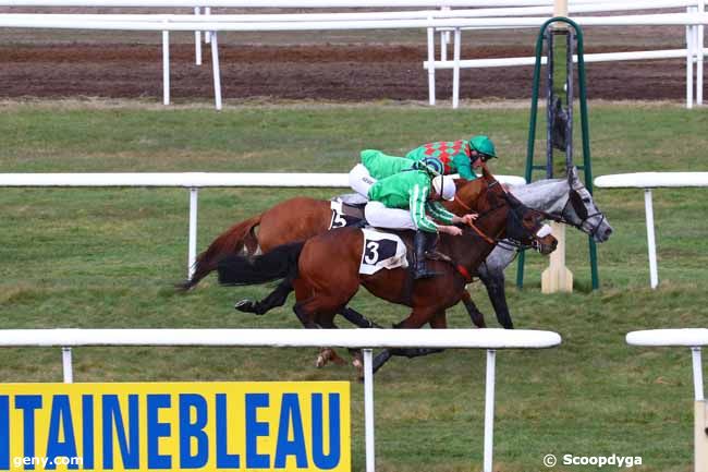 04/03/2019 - Fontainebleau - Prix de la Somme : Arrivée