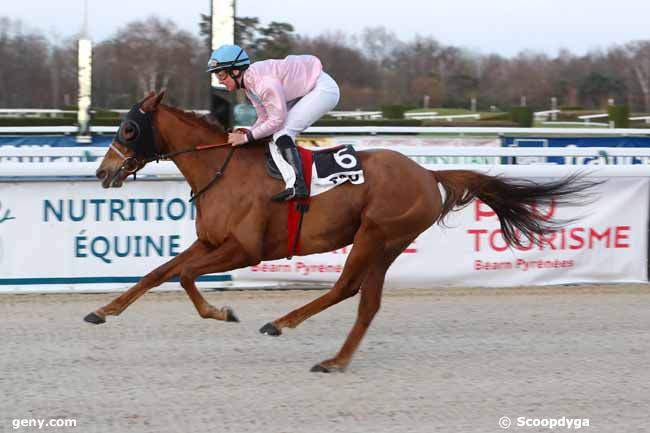 18/12/2019 - Pau - Prix de Limendous : Arrivée