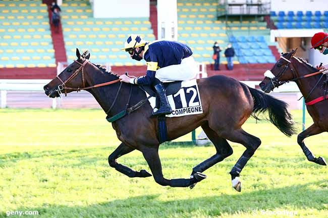 11/05/2020 - Compiègne - Prix de Brissac : Arrivée