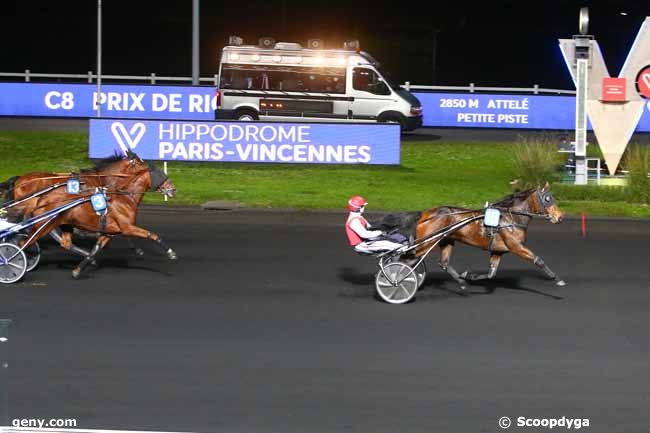 05/11/2020 - Vincennes - Prix de Richelieu : Ankunft