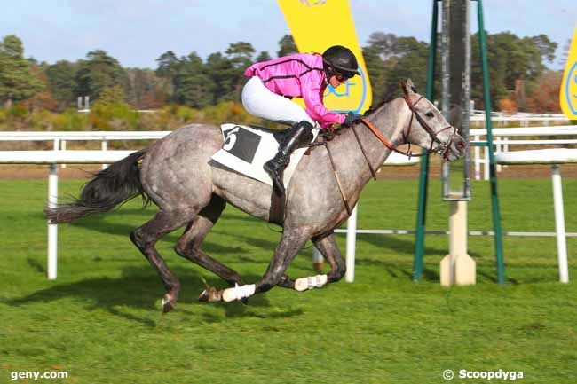 22/11/2021 - Fontainebleau - Prix Princesse d'Anjou : Arrivée